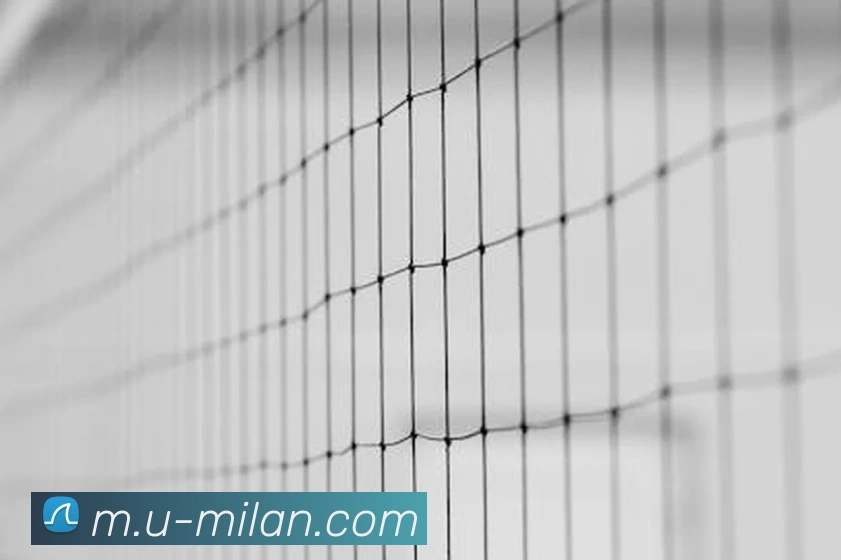 米兰体育服务体系